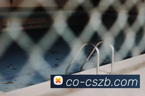 App Interface Preview